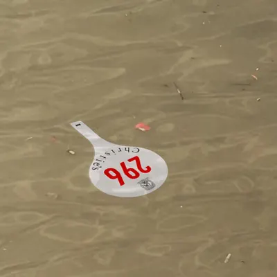 up the creek without a paddle