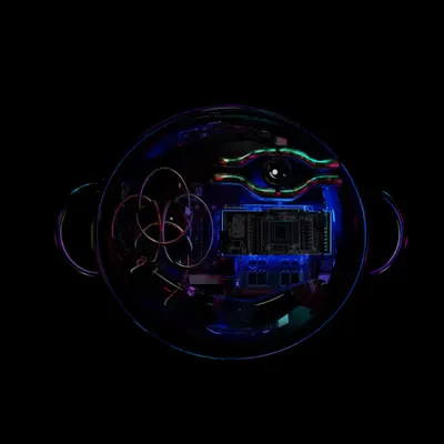 6/365 QUANTUM