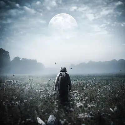 On my way //