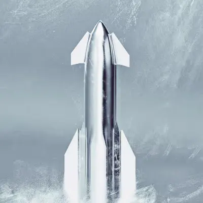Ode to the Starship 