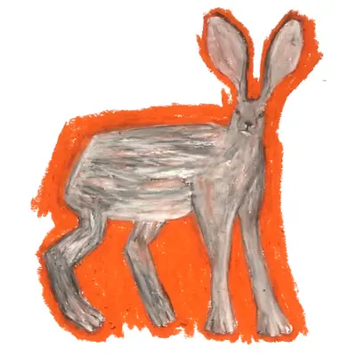 Clueless Hare