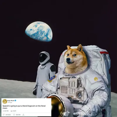 Doge, we've had a problem.