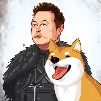 Doge Snow