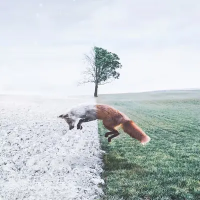Leap of Faith