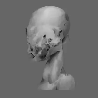 Reptile 1
