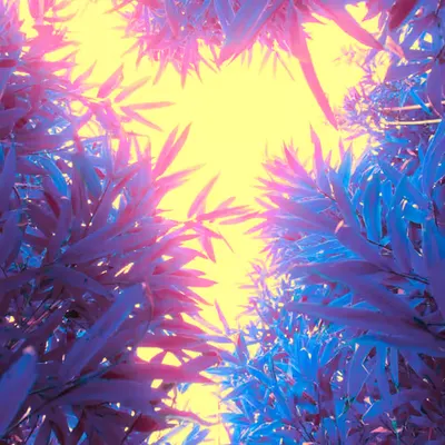 Enter The Glow
