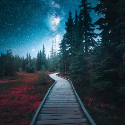 Galactic Pathways