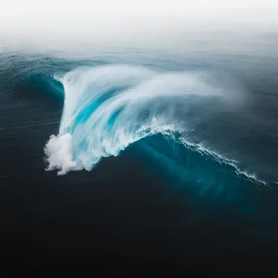 First Wave