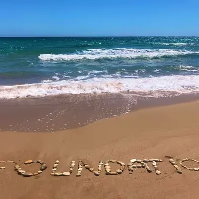Let's have our own island!