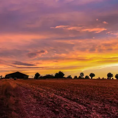 Golden Hour