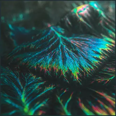NEGATIVVE LΛΛNDSCAPE 0131