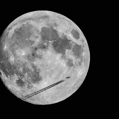 To The Moon- Single Shot