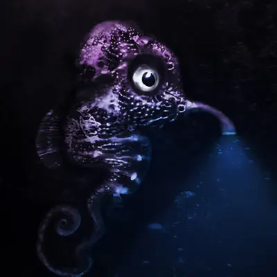 Oceanrider