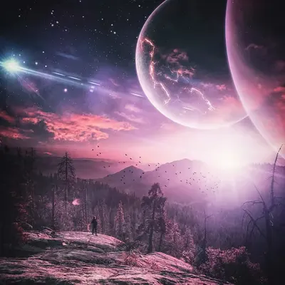 Violet //