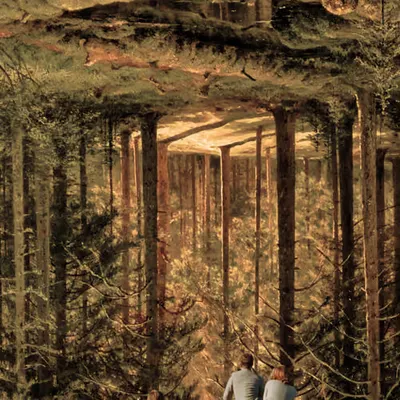 Bosell forest