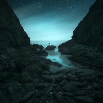 A Quiet Place