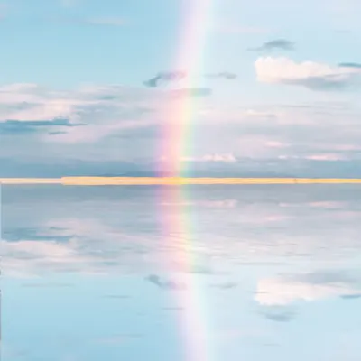 Reflections II