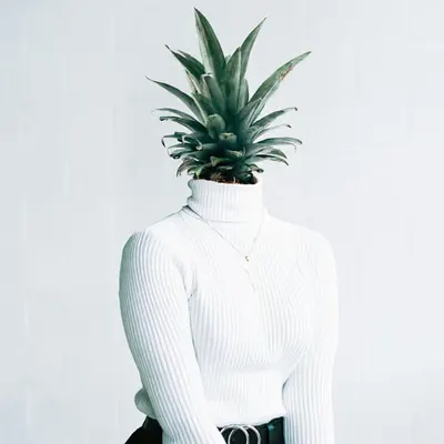 Tropical Thoughts