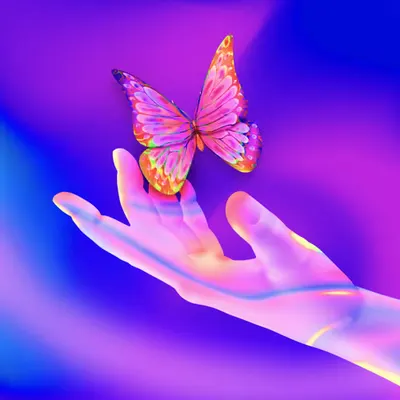 butterfly effect