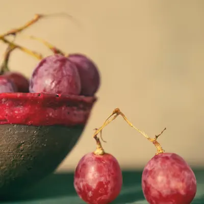 Still Life With Grape