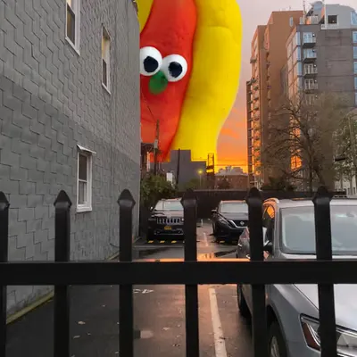 Hotdog in Williamsburg