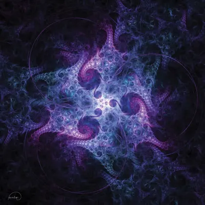 Hydra