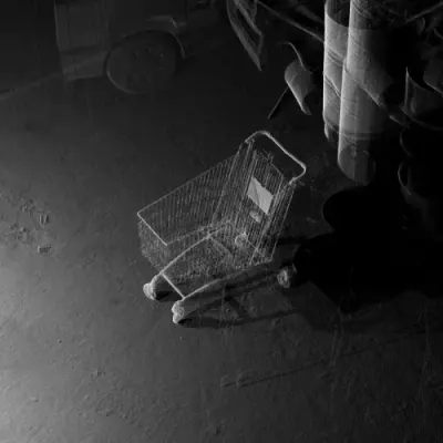 Empty Shopping Cart