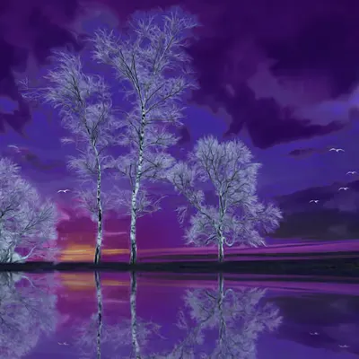 Purple Reflection