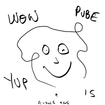one long pube
