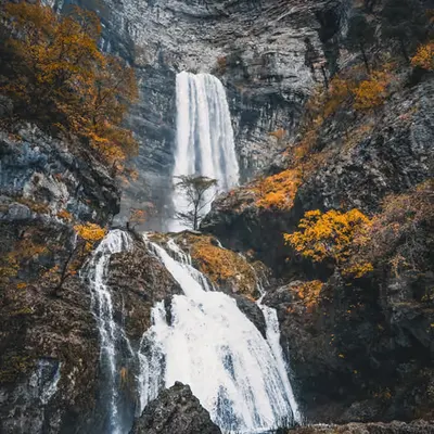 The Fall