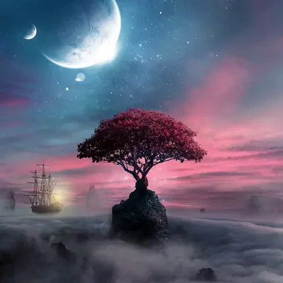 Dreams