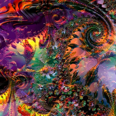 Nebula Laetus
