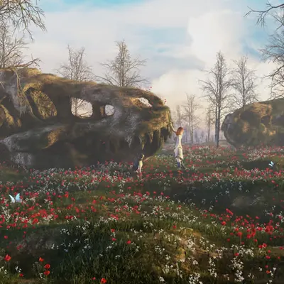 A walk amongst the fallen giants