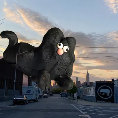Lucky Black Brooklyn Cat