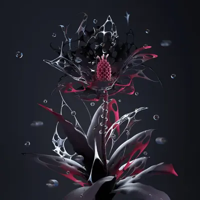Bloom 2.0