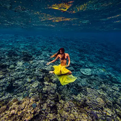 Plenty of Fish in the Sea