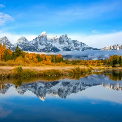 Reflection 