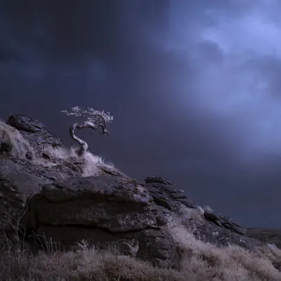 ETERNAL
