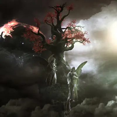 The Tree