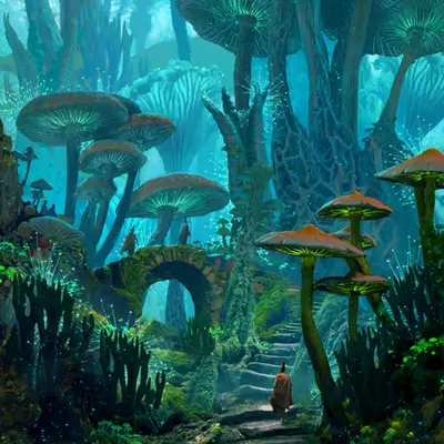 "Mushy Land"