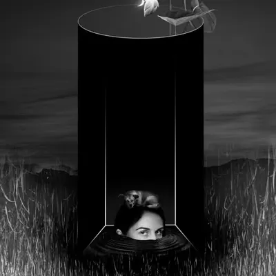 Dog In The Well
