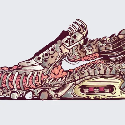 Air Max Skeleton