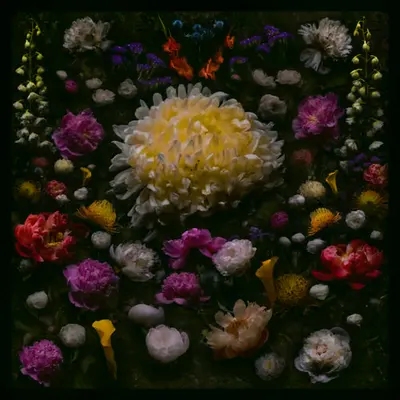 AUREUM VICTORIA