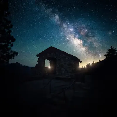 Shelter