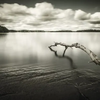 Serenity
