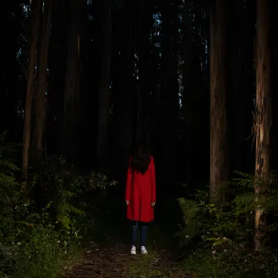Little Red Riding Hood II