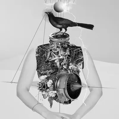Human Manuals No.1
