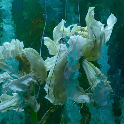 «IV. Metamorphosis»
