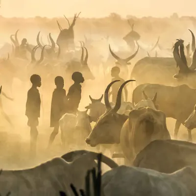 Ghosts in the Dust