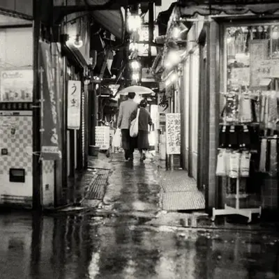 Rainy Night Solace